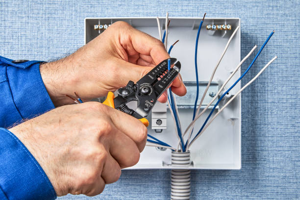 Best Electrical Panel Upgrades  in Savannah, TX